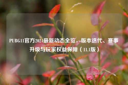 PUBG11官方2024最新动态全览,版本迭代、赛事升级与玩家权益保障(11.1版)