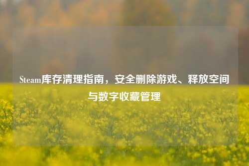 Steam库存清理指南,安全删除游戏、释放空间与数字收藏管理