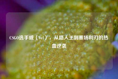 CSGO选手威(Vel),从路人王到赛场利刃的热血逆袭