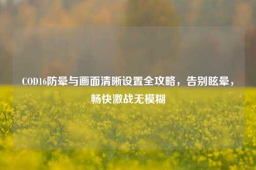 COD16防晕与画面清晰设置全攻略,告别眩晕,畅快激战无模糊