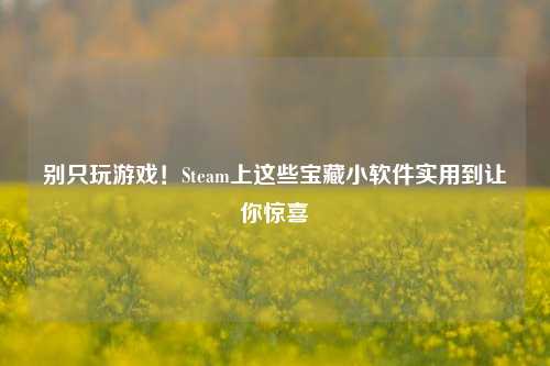 别只玩游戏!Steam上这些宝藏小软件实用到让你惊喜