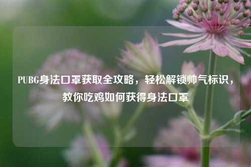 PUBG身法口罩获取全攻略,轻松解锁帅气标识,教你吃鸡如何获得身法口罩