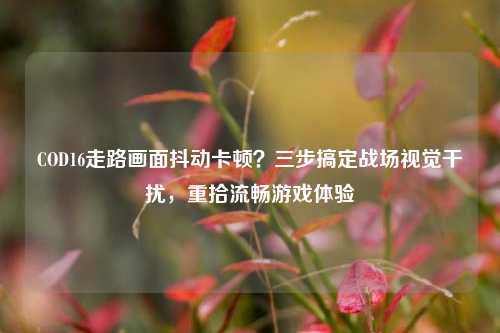 COD16走路画面抖动卡顿？三步搞定战场视觉干扰，重拾流畅游戏体验
