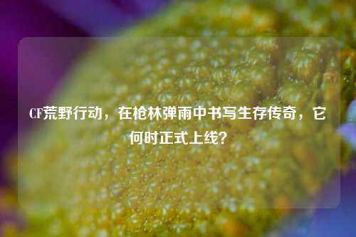 CF荒野行动,在枪林弹雨中书写生存传奇,它何时正式上线?