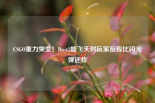 CSGO重力突变!Dust2能飞天时玩家反应比闪光弹还炸