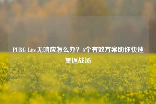 PUBG Lite无响应怎么办?6个有效方案助你快速重返战场