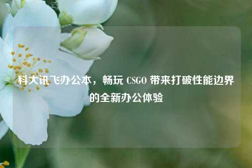 科大讯飞办公本,畅玩 CSGO 带来打破性能边界的全新办公体验