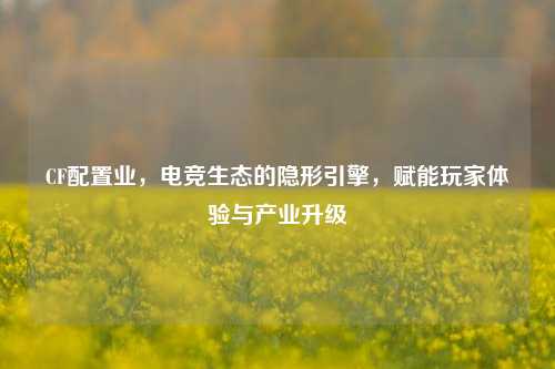CF配置业,电竞生态的隐形引擎,赋能玩家体验与产业升级
