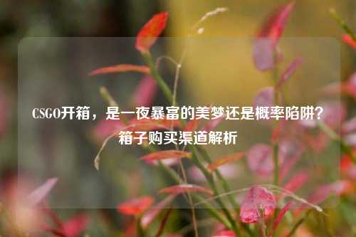 CSGO开箱,是一夜暴富的美梦还是概率陷阱?箱子购买渠道解析