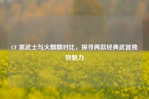 CF 黑武士与火麒麟对比,探寻两款经典武器独特魅力