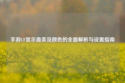 手游CF显示血条及颜色的全面解析与设置指南