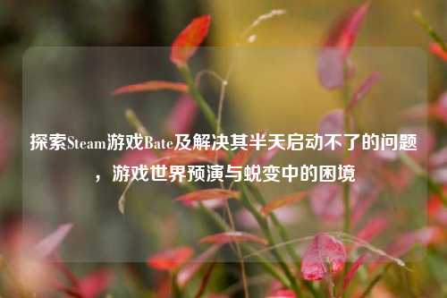探索Steam游戏Bate及解决其半天启动不了的问题,游戏世界预演与蜕变中的困境