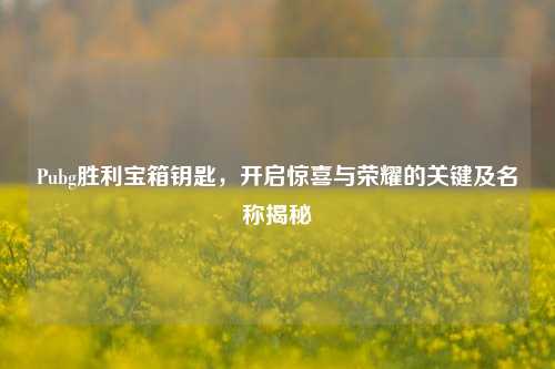Pubg胜利宝箱钥匙,开启惊喜与荣耀的关键及名称揭秘