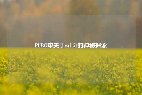 PUBG中关于wtf 51的神秘探索
