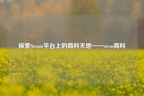探索Steam平台上的商科天地——stem商科