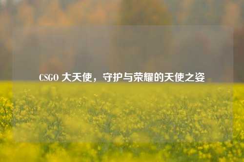 CSGO 大天使,守护与荣耀的天使之姿