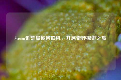 Steam饥荒局域网联机,开启奇妙探索之旅