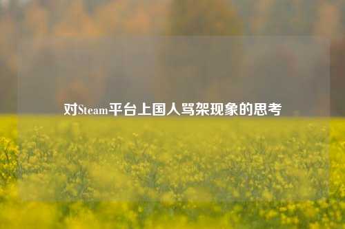 对Steam平台上国人骂架现象的思考