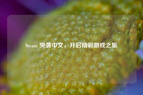 Steam 突袭中文,开启精彩游戏之旅