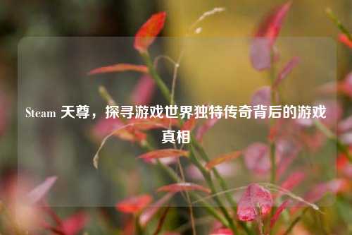 Steam 天尊,探寻游戏世界独特传奇背后的游戏真相
