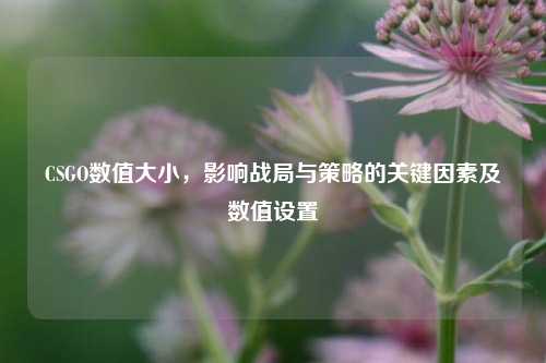 CSGO数值大小,影响战局与策略的关键因素及数值设置