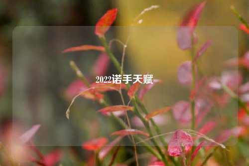 2022诺手天赋