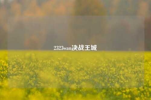 2323wan决战王城