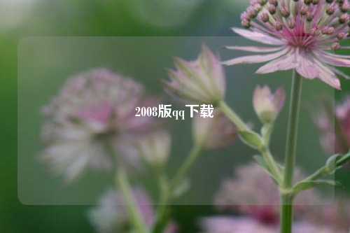2008版qq下载