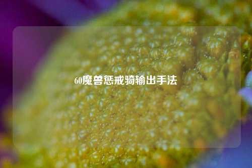 60魔兽惩戒骑输出手法