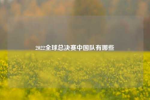 2022全球总决赛中国队有哪些