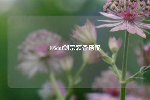 105dnf剑宗装备搭配