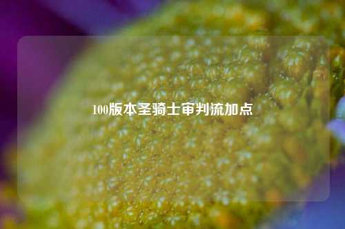 100版本圣骑士审判流加点