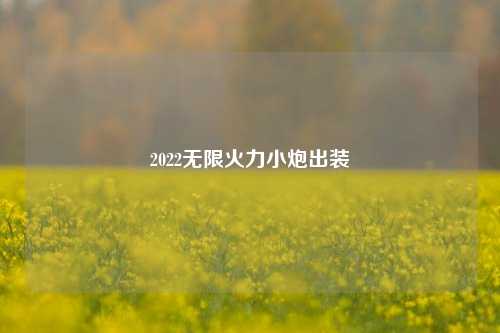 2022无限火力小炮出装