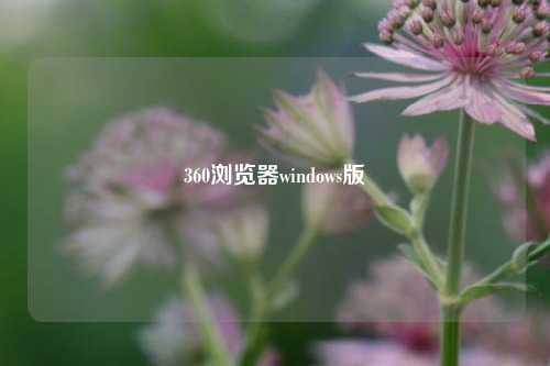 360浏览器windows版