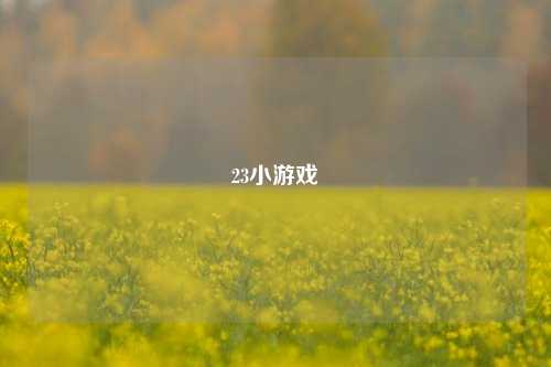 23小游戏