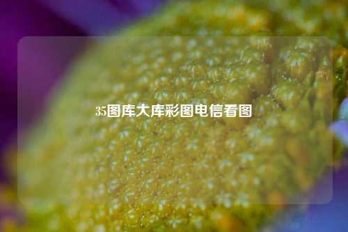 35图库大库彩图电信看图