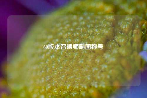 60版本召唤师刷图称号