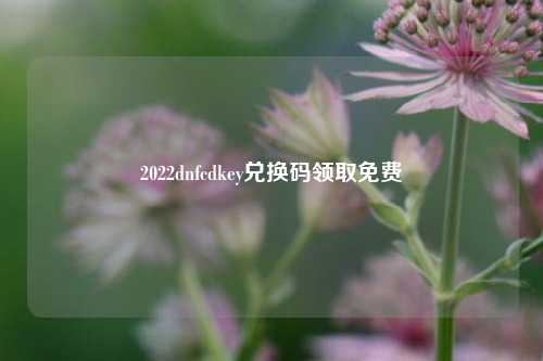 2022dnfcdkey兑换码领取免费