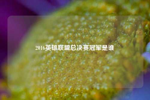 2016英雄联盟总决赛冠军是谁