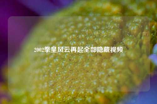 2002拳皇风云再起全部隐藏视频