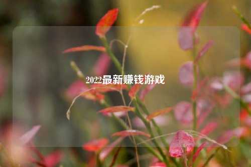 2022最新赚钱游戏