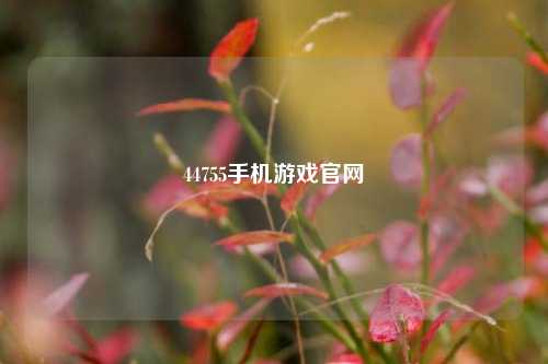 44755手机游戏官网