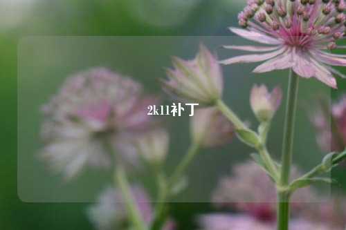 2k11补丁