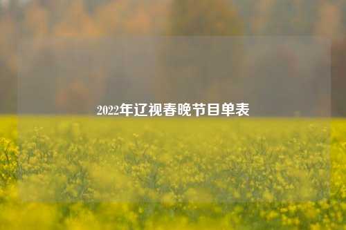 2022年辽视春晚节目单表