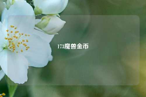 173魔兽金币