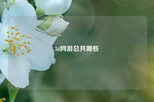 3d网游总共哪些