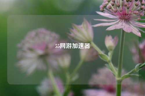 55网游加速器