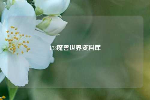 178魔兽世界资料库