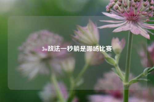 3w敌法一秒躺是哪场比赛