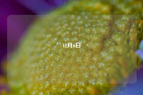 12月6日